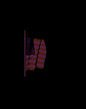 Image - USA Flag Title Screen